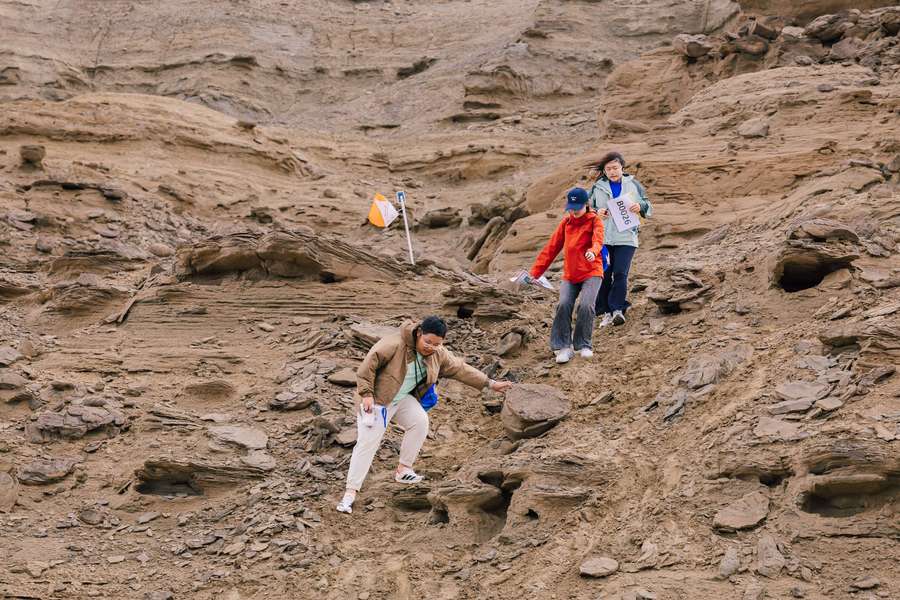 6d0ae0609d4badedfe48b290b67a0a5f