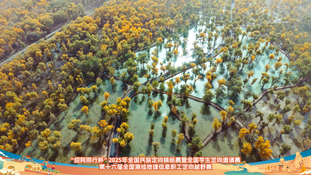 cbbfbfa0d6e9c2643c0f31fe36d81e81