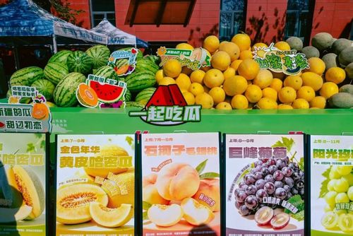 图14