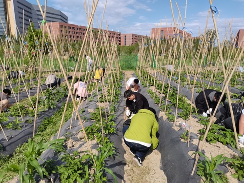 微信图片_20240522191209