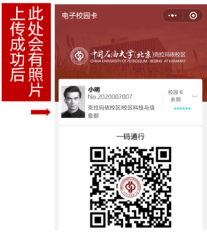 屏幕截图 2024-06-11 100151