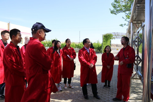 20190510校-区机关第一、第二党支部前往风城油田作业区开展主题党日活动-吴双、张世栋、张璐璐 (2)